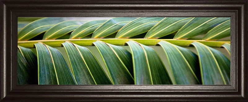 Palma I By Susan Bryant - Framed Print Wall Art - Green